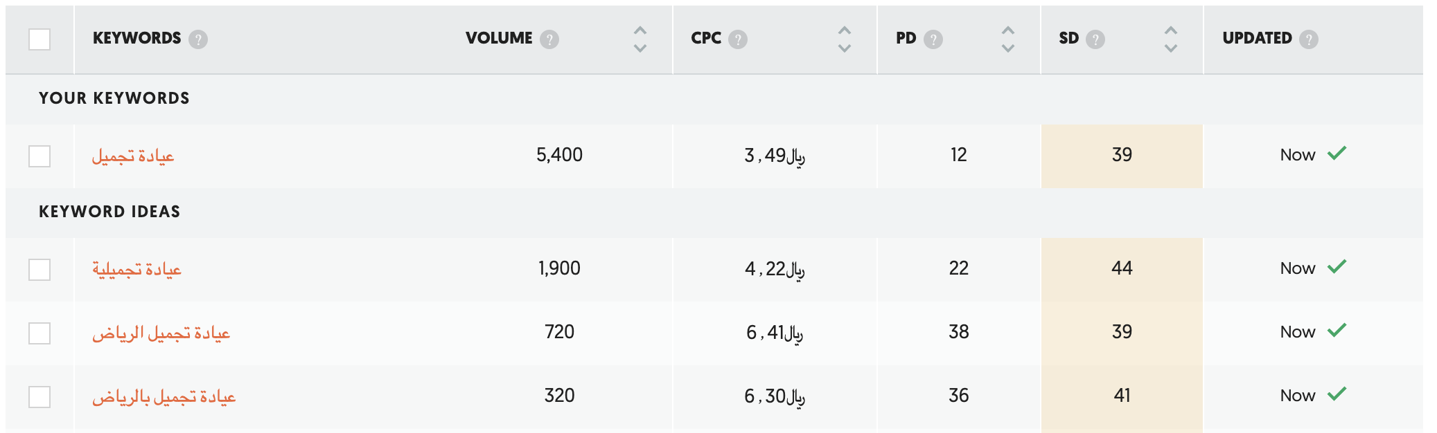 SEO in Saudi Arabia: A Strategic Imperative for Healthcare Professionals