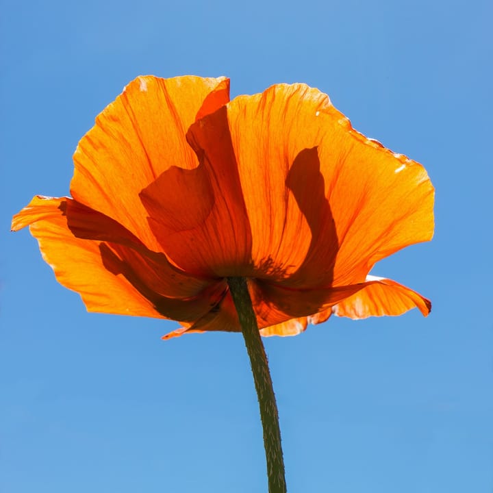 Running Google Ads in Riyadh: Tips from a Local Marketing Agency