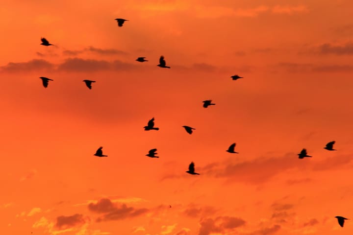 Why Businesses in Riyadh Are Choosing Local Agencies Over Big Names